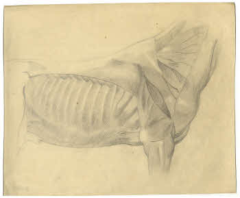 Visualizza l'immagine "FD D 139"